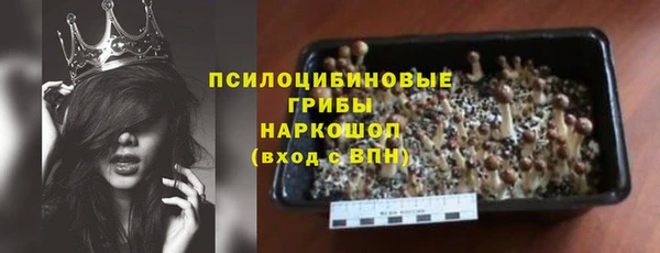 дурь Заводоуковск