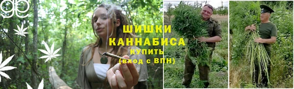 PSILOCYBIN Заволжск