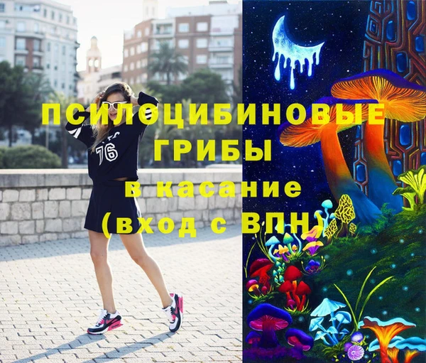 дурь Заводоуковск
