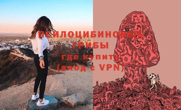 дурь Заводоуковск