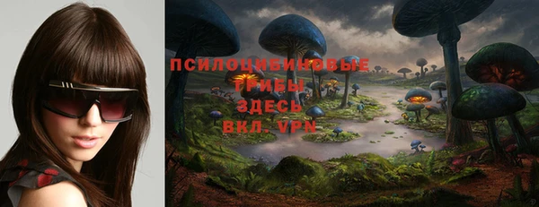 дурь Заводоуковск